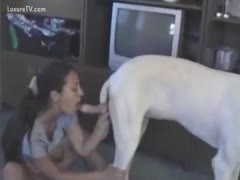 The household pet is being engulfed and fucked by the filthy, unfaithful wife.